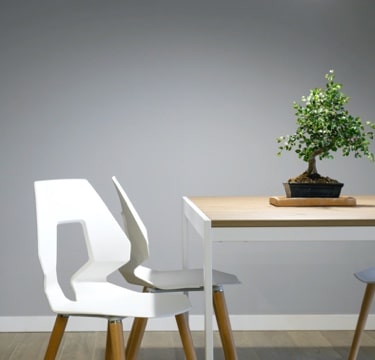 Image of a white chair with a light room and a plant